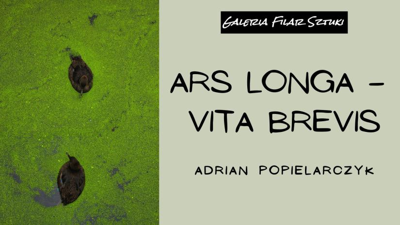 Ars longa – vita brevis