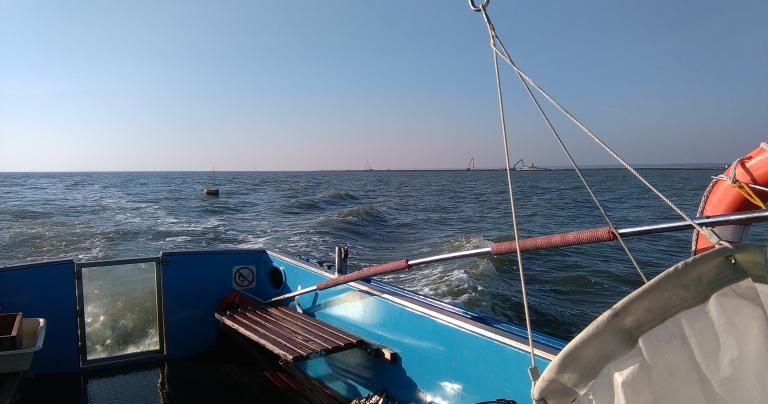 CREO w Asocjacji Młodych Naukowców