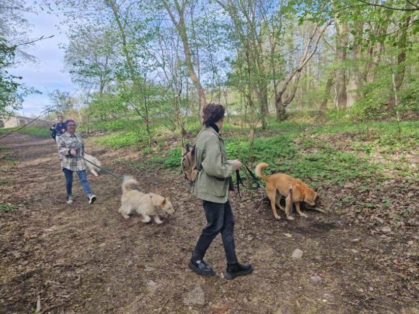 Studenci Psychologii w ANS w Elblągu pomagają zwierzętom i dbają o środowisko